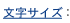 �����T�C�Y