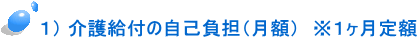 1) 介護給付の自己負担(月額) ※1ヶ月定額