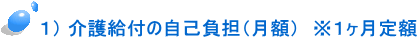  １） 介護給付の自己負担（月額）　※１ヶ月定額 