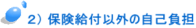  ２） 保険給付以外の自己負担 